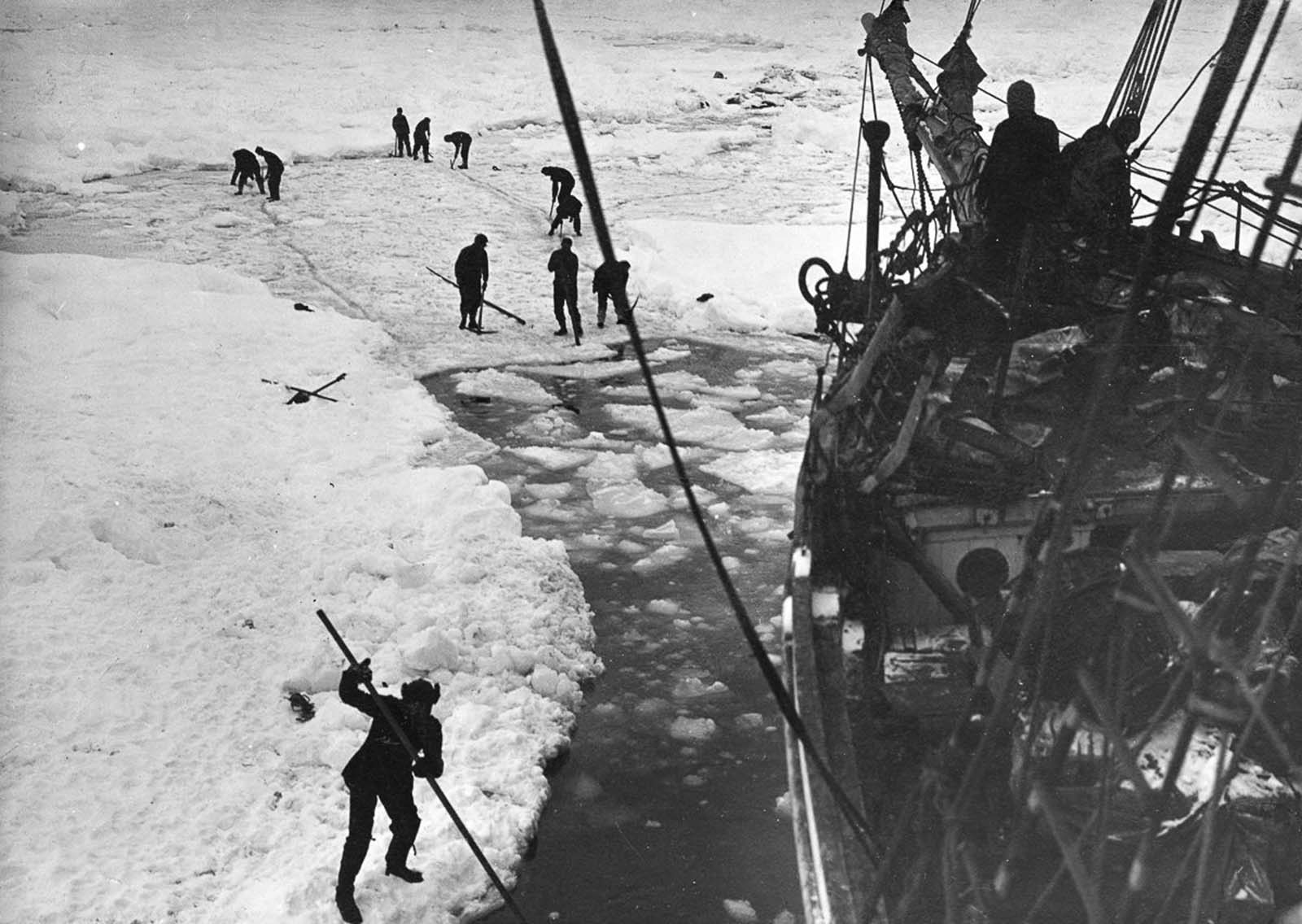 Shackleton Antarctica endurance photographs