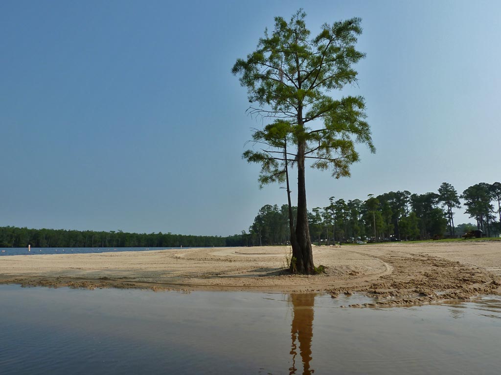 Kayaking the MobileTensaw River Delta 06/11/2011 Presley's Lake and