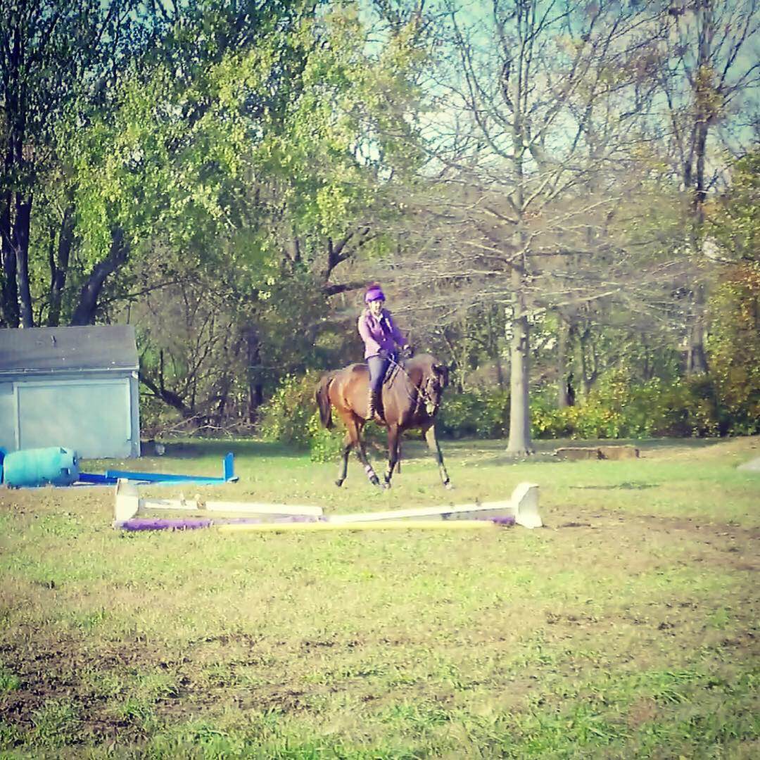 Thinline Bareback Pad Review