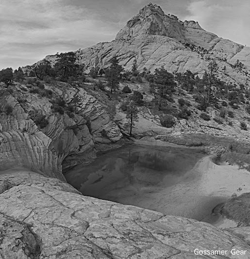 Desert black and white