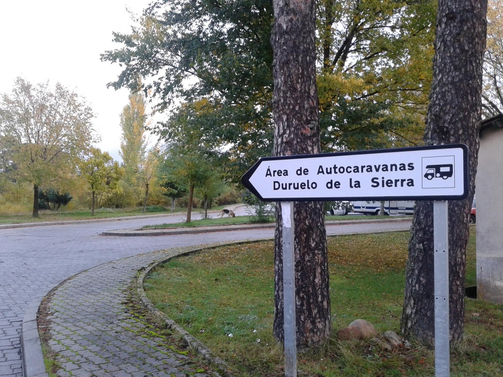 Resultado de imagen de duruelo de la sierra soria