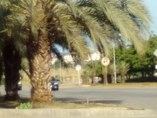 Avenida La Auyama