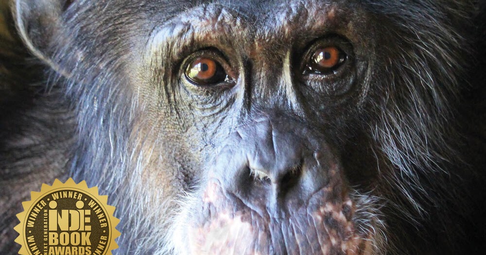 the 3rd chimpanzee the 3rd chimpanzee