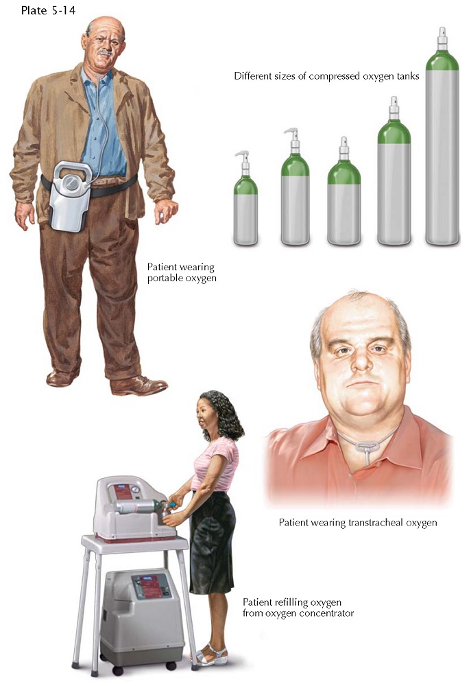 OXYGEN THERAPY IN CHRONIC RESPIRATORY FAILURE (AMBULATORY AND HOME USE