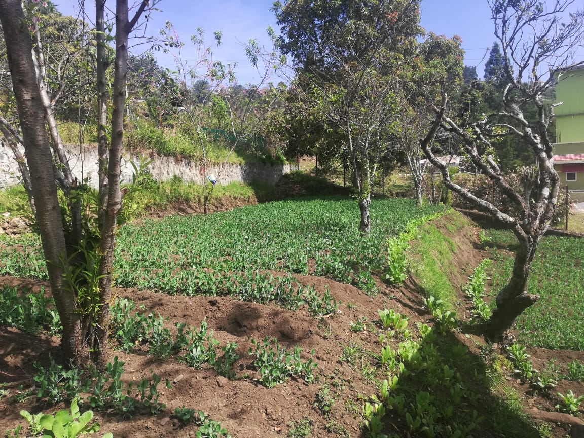 Kodaihills Realestate. Farm house land for sale in kodaikanal