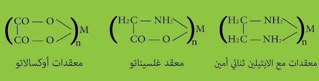 المرتبطات ثنائية السن