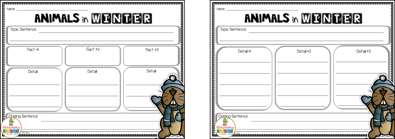 Second Grade Stories