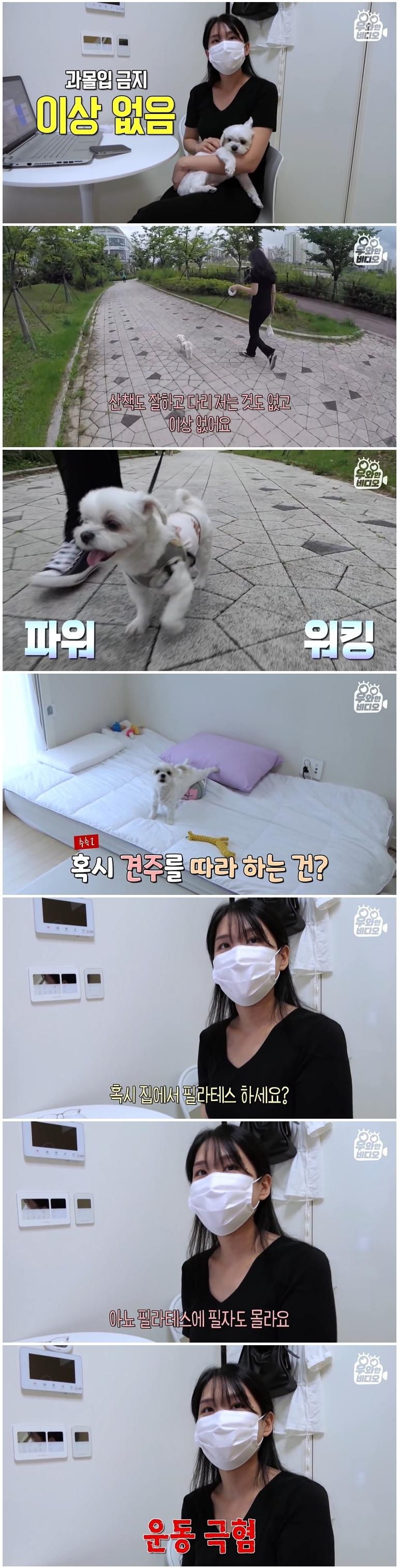 필라테스 하는 강아지