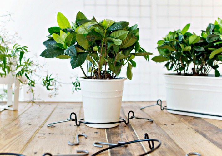 Diy jardin vertical para interior