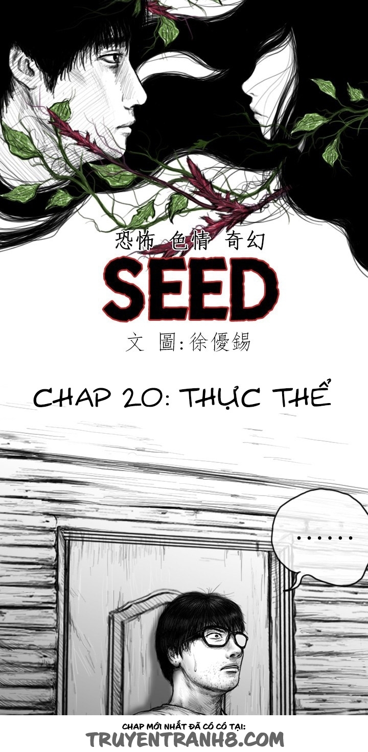 Hạt Giống Mỹ Nhân chap 20 - Trang 11