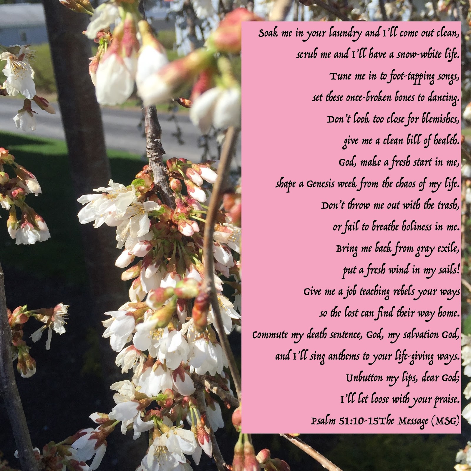 My Strength Psalm 51 10 15 Create In Me my-strength-psalm-51-10-15-create-in-me