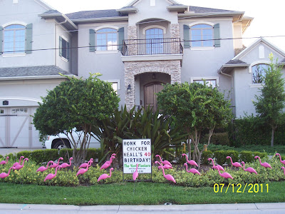 *THE YARD FLOCKERS* Pinellas County, Fla 727-409-5590 WWW