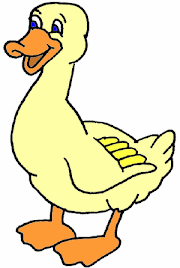 56 Gambar Hewan Bebek Kartun Paling Gokil