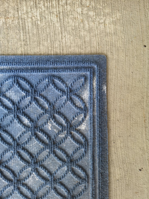 L L Bean S Waterhog Rug One Year Later Review Celebrating This
