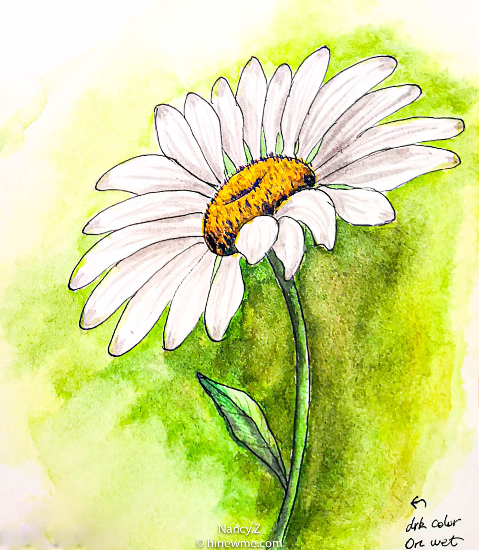 Sketch how to draw a daisy