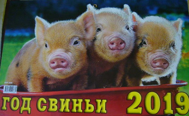 Календарь 2019 год свиньи. Календарь 2007 год свиньи. Когда у нас следующий год свиньи. 1995 Год свиньи календарь. Известные свиньи