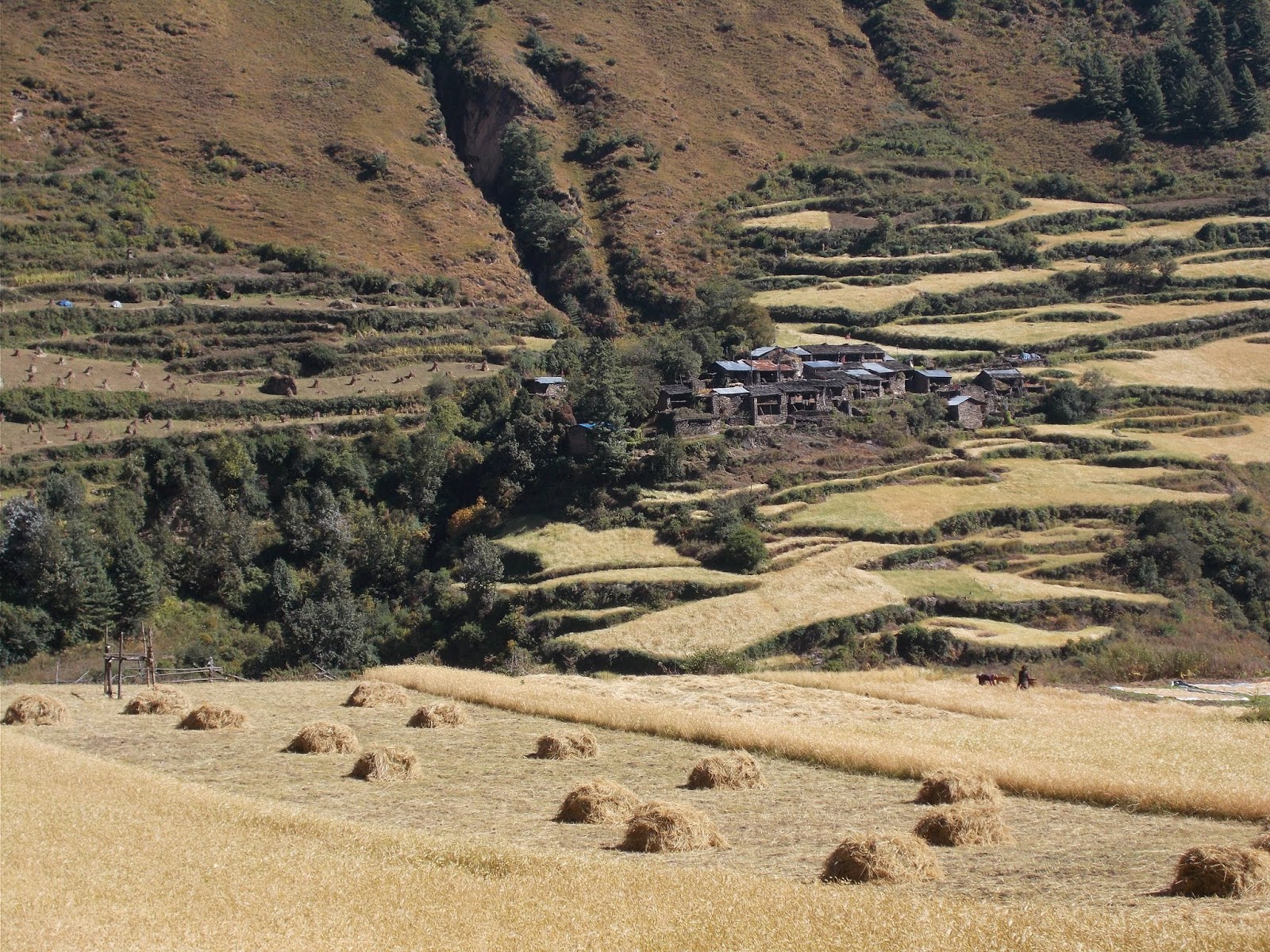 Вокруг Манаслу, долина Цум, Нар-Пу. Непал 2017.