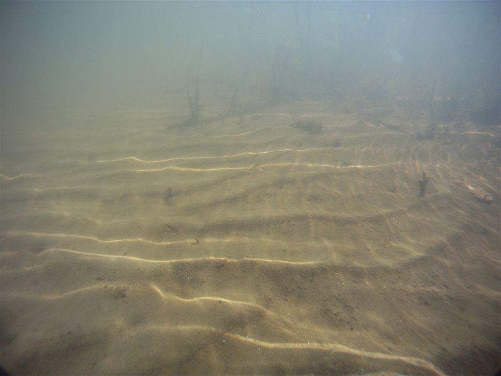 Aventuras Submarinas por Marcelo Ambrogi GOPRO hero 2 Adventure