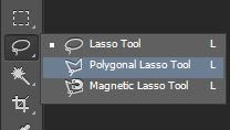 Polygonal Lasso Tool