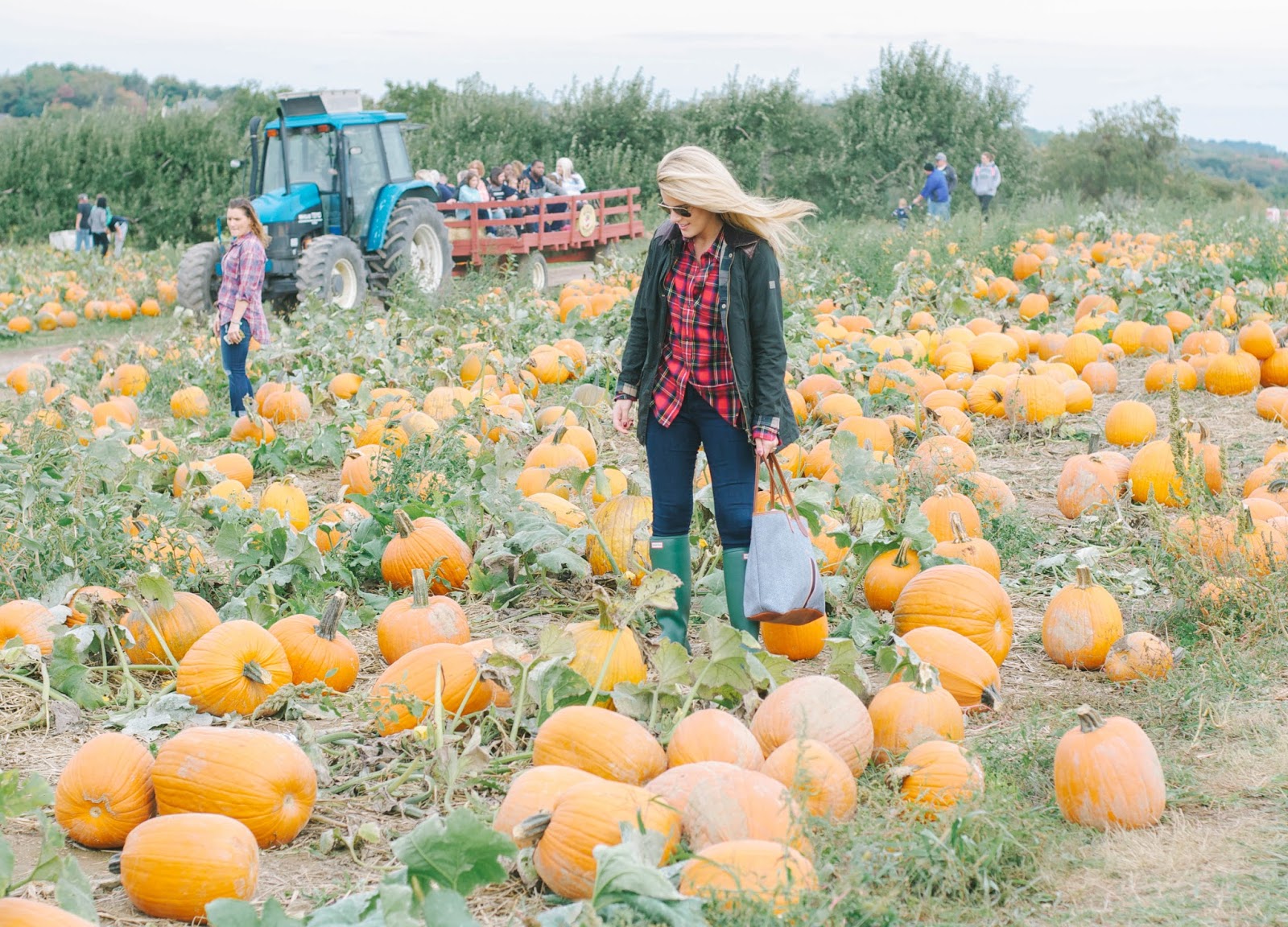 Summer Wind Pumpkin Patch at Soergels in Pittsburgh