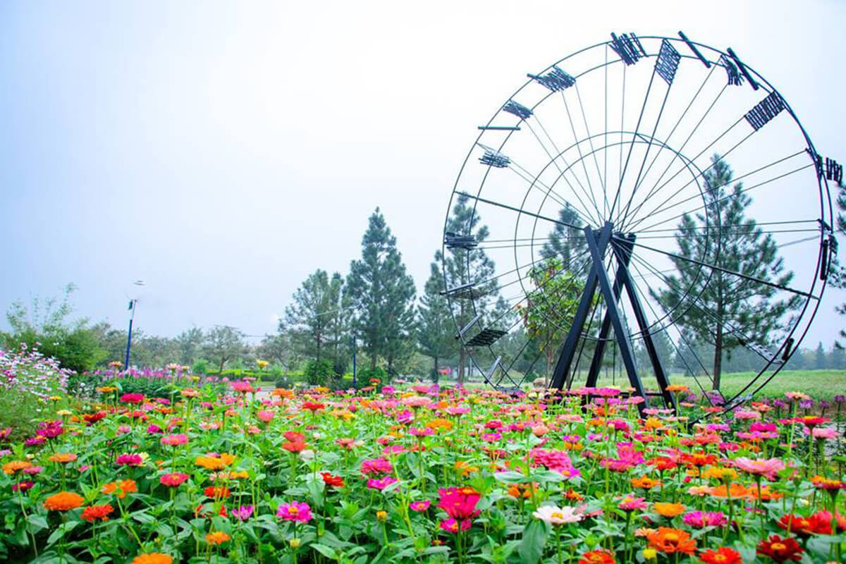 Biệt thự The Phoenix Garden