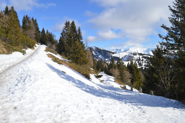 cima vezzena inverno neve ciaspole itinerario