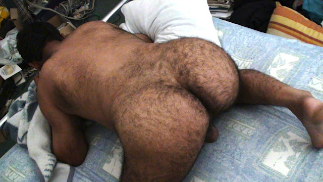 Hairy Gay Butt 35