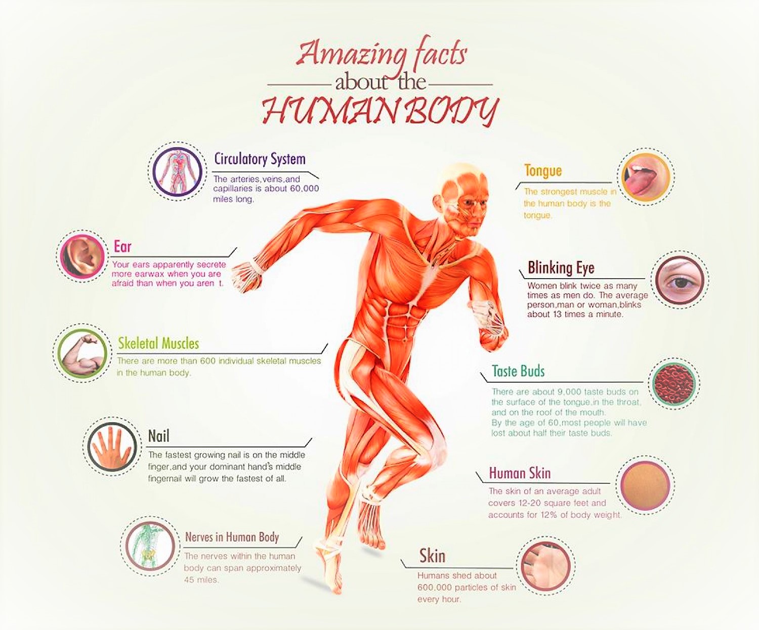 new research about human body