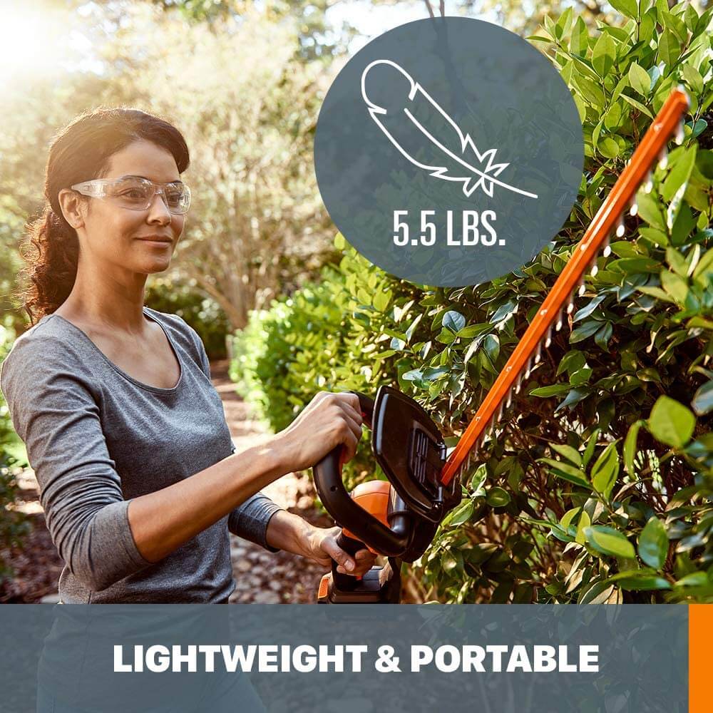 Best Price Cordless Hedge Trimmer Best Hedge Trimmer