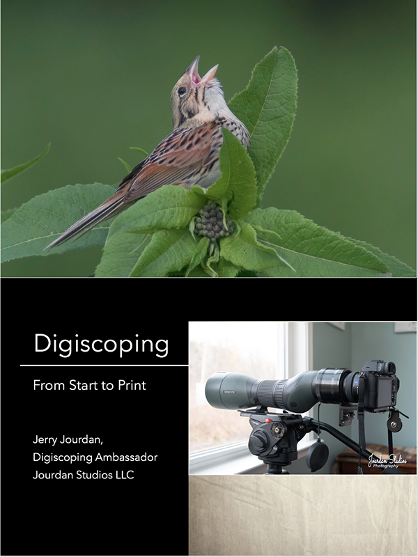 Digiscoping: From Start to Print
