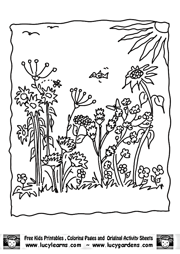 garden coloring pages for free - photo #28