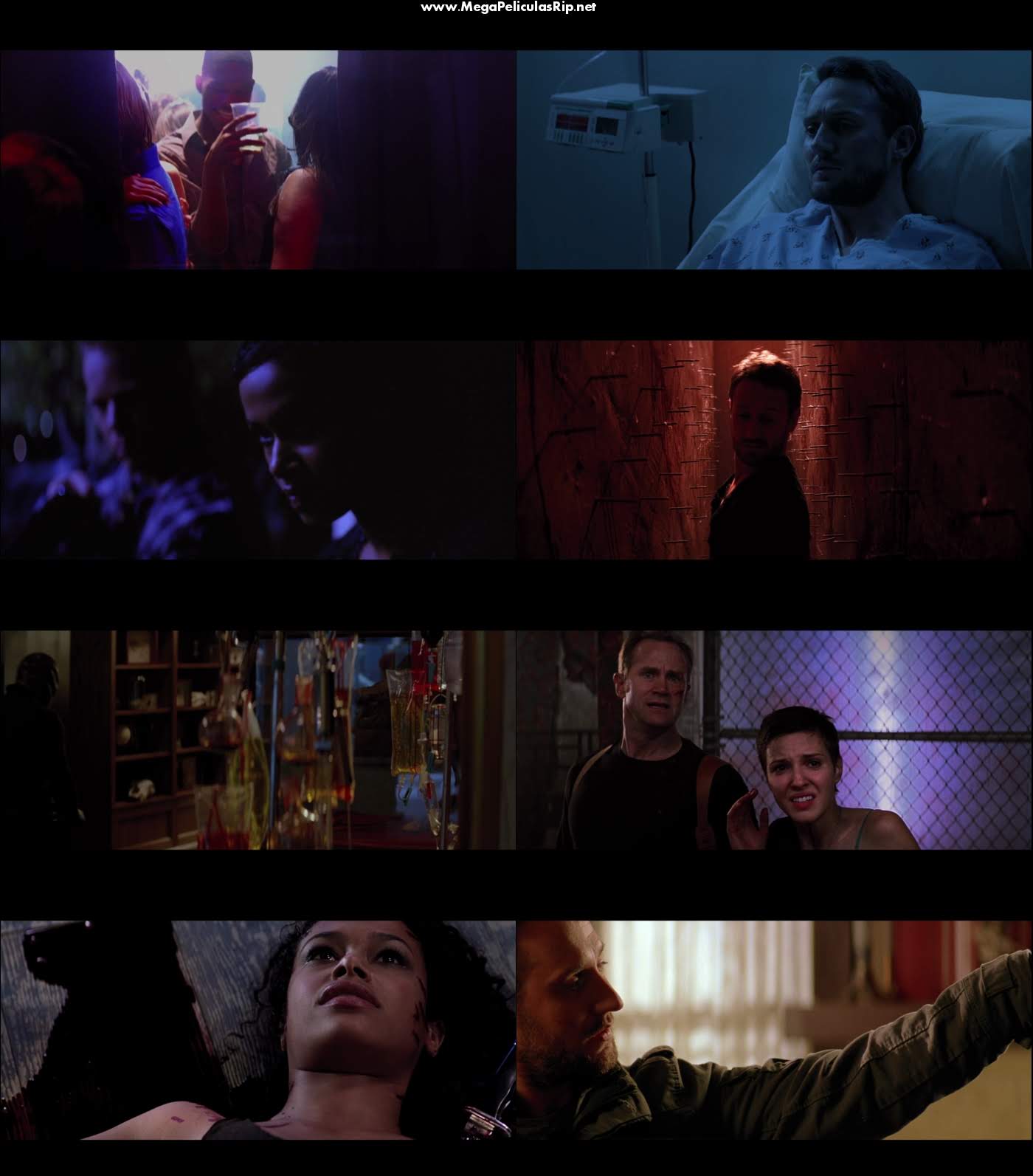 The Collection 1080p Latino