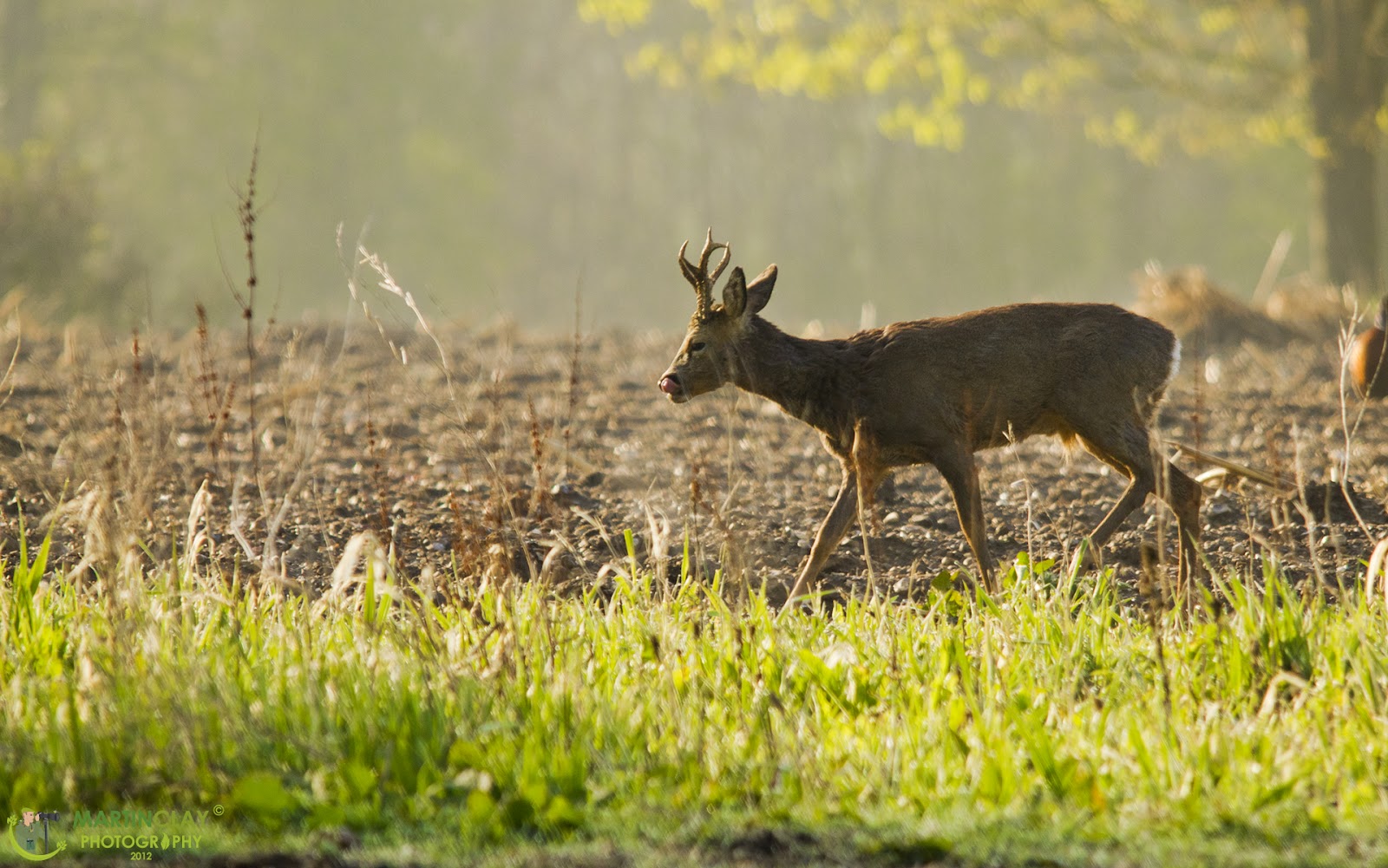 Martin Clay Photography: April 2012