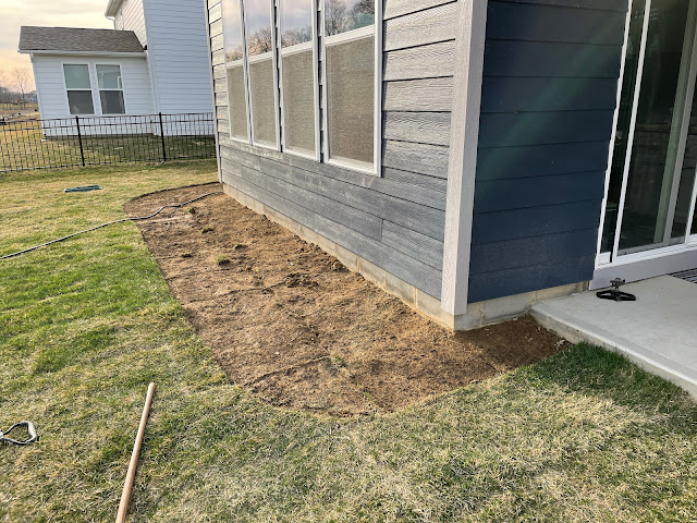 shape of new landscaping bed with sod removed