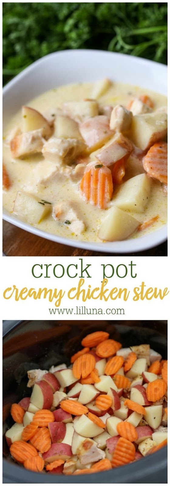 Creamy Chicken Stew - Mom Food 2