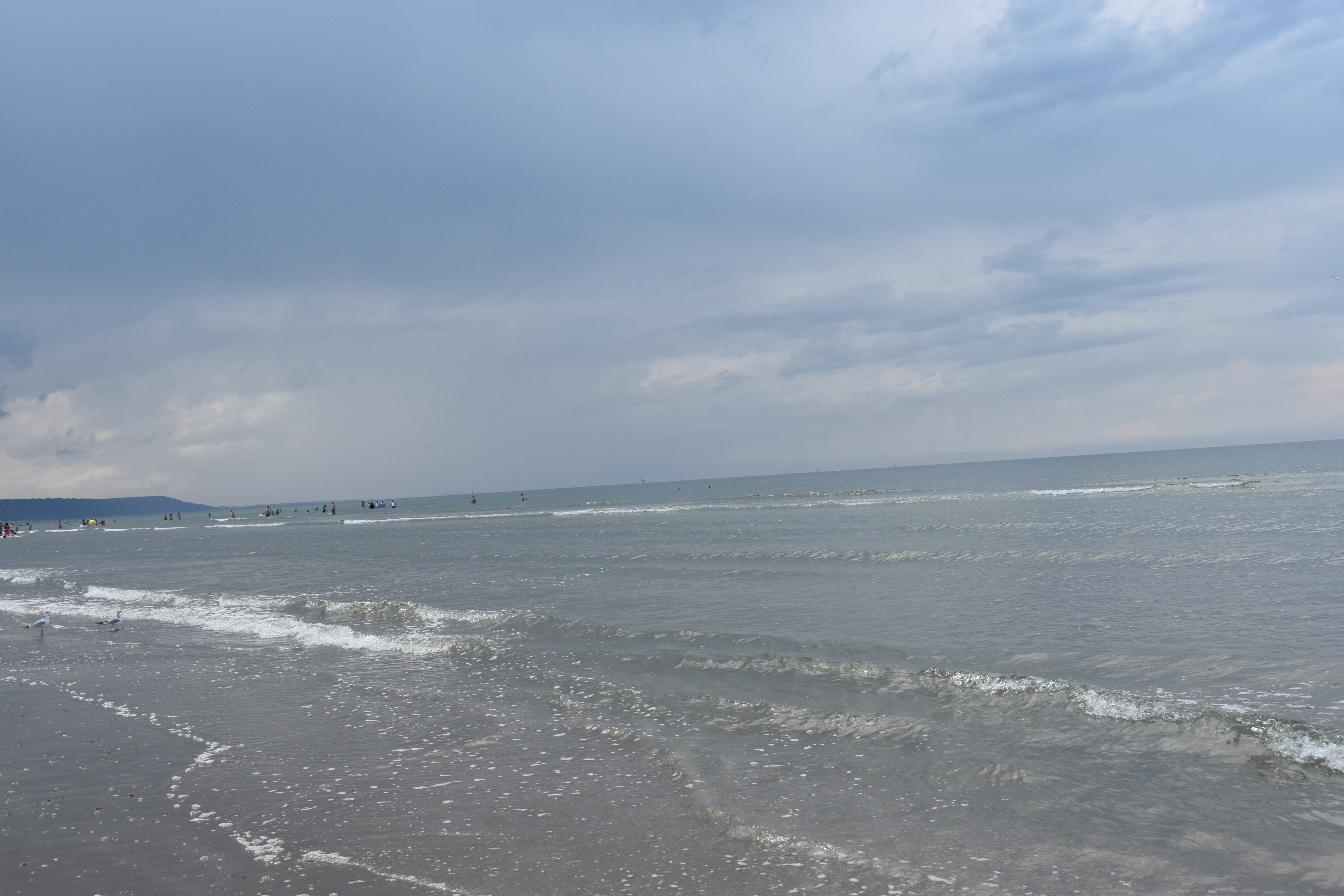 L’attribut alt de cette image est vide, son nom de fichier est DSC_0275.JPG.