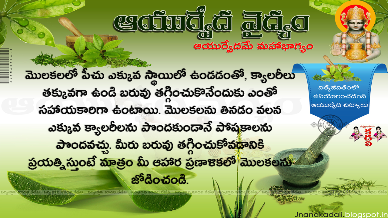 Health Benefits of Sprouts for Weight Loss and Hair Fall in Telugu