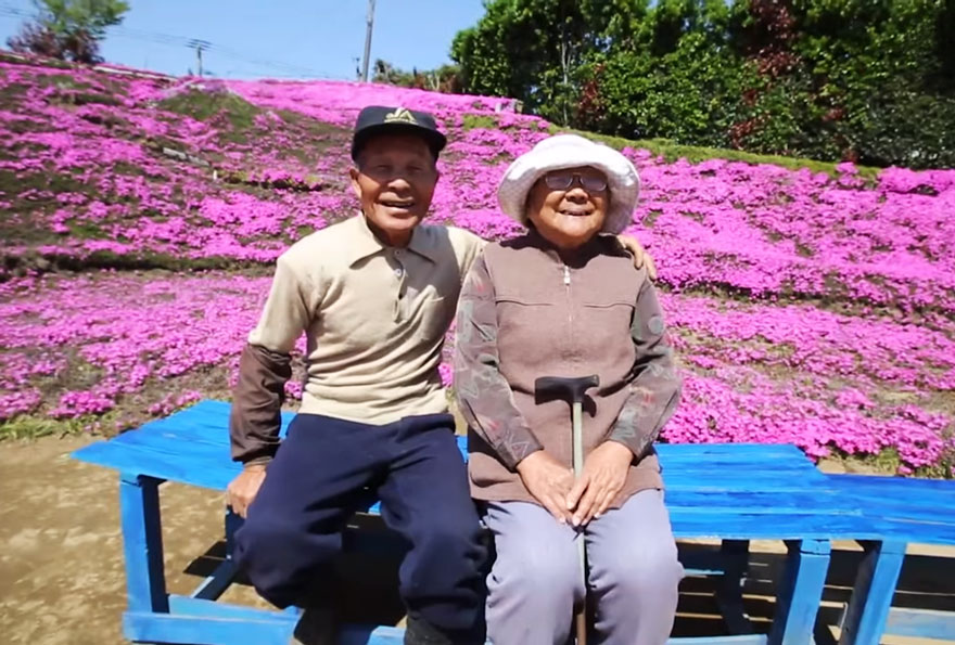 Mrs. Kuroki can’t see anything, but she loves to be outside - Loving Husband Spends 2 Years Planting Thousands Of Flowers For His Blind Wife To Smell Mrs. Kuroki can’t see anything, but she loves to be outside - Loving Husband Spends 2 Years Planting Thousands Of Flowers For His Blind Wife To Smell