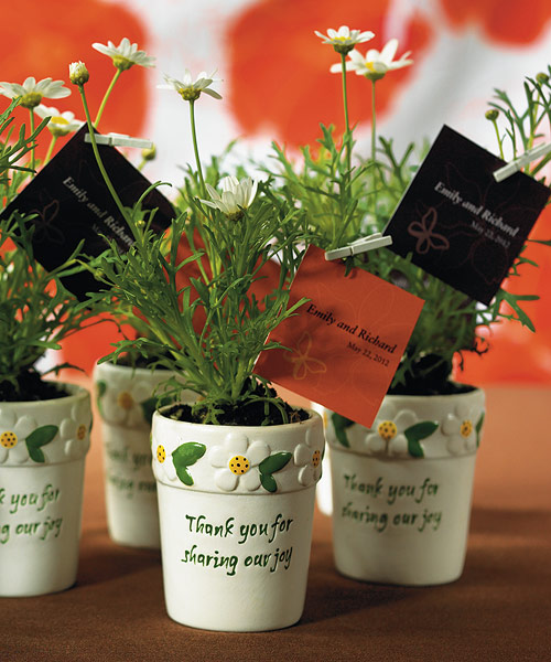 Mini Garden Flower Pot Wedding Favors Unxia