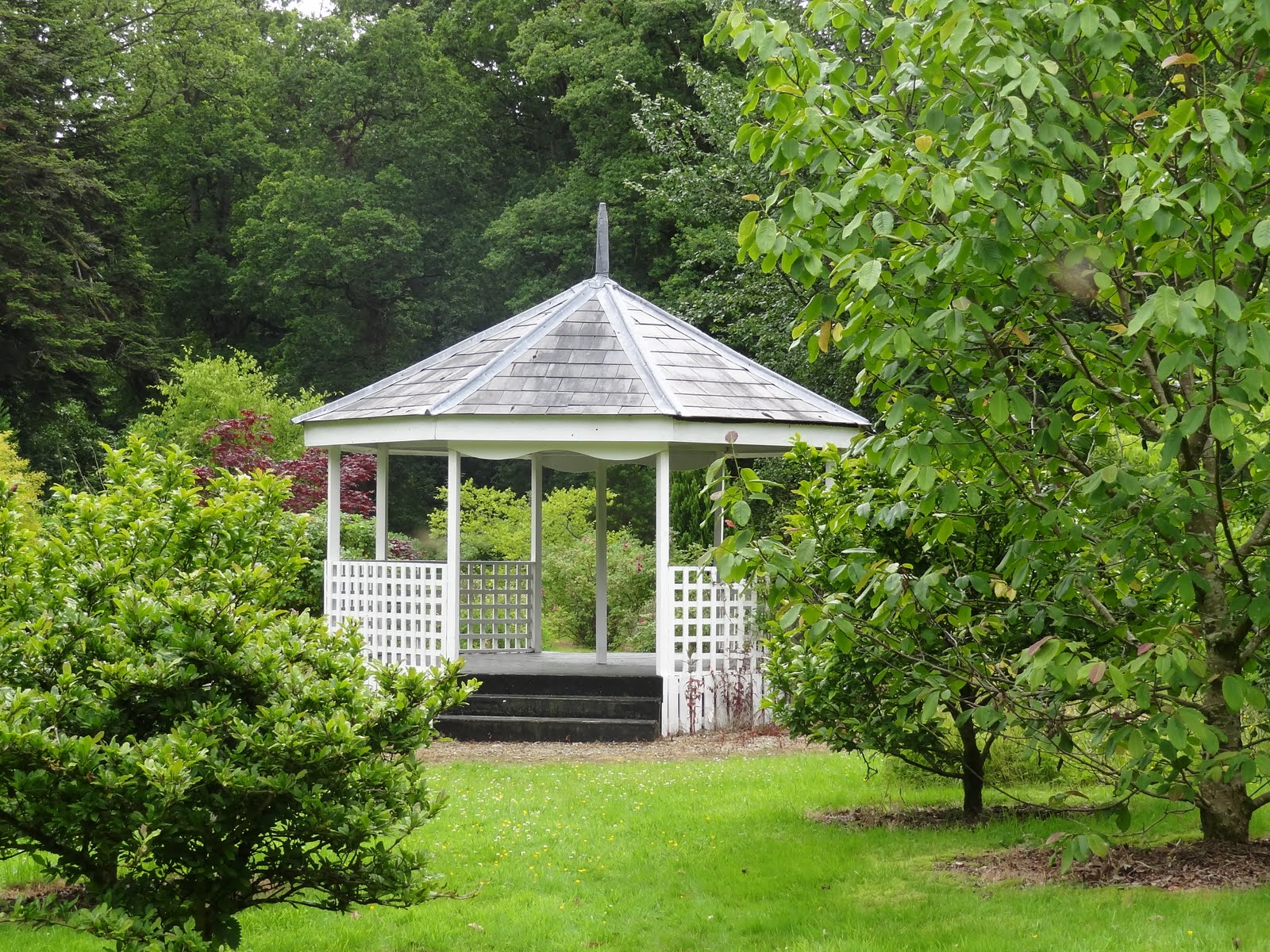 Delhap Design The Park Hotel, Virginia,