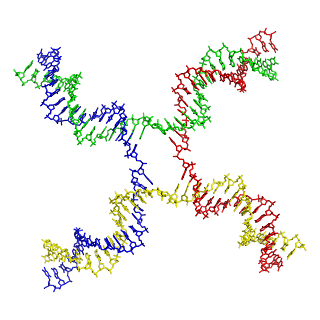 4 kollu bir bağlantı. DNA'nın dört ayrı ipliği farklı renklerde gösterilmiştir.