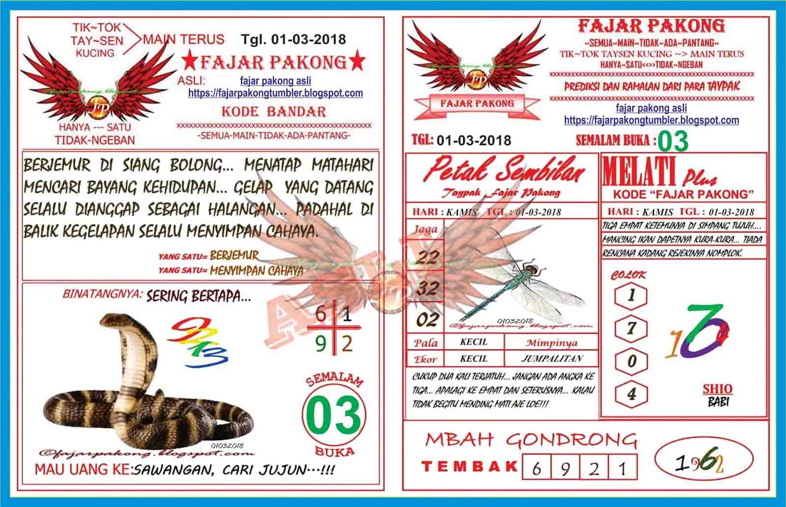 Populer Download Gambar Hewan Pakong Goodgambar