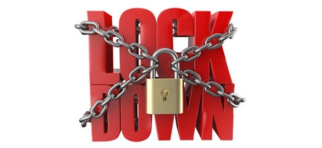 2 sebab utama serangga dan haiwan perosak muncul dalam tempoh lockdown