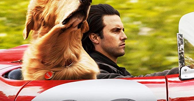 Filmes Para Maiores De Idade Assistir RepelitasCompleta: Assistir-Filme "Vida de Um Campeão" 2019 - Completo