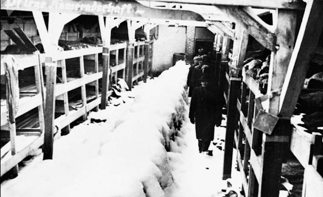 On January 27, 1945, Soviet troops released Auschwitz. Thousands of people sentenced to a tragic fate suddenly had hopes of living again. A good thing to remember The complex was composed of three main fields: Auschwitz 1, Auschwitz 2 and Auschwitz 3. Auschwitz 1 subsequently served as the administrative center of the complex.