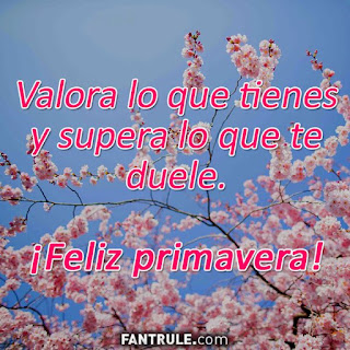 imagenes feliz primavera 2018 hola bienvenida frases