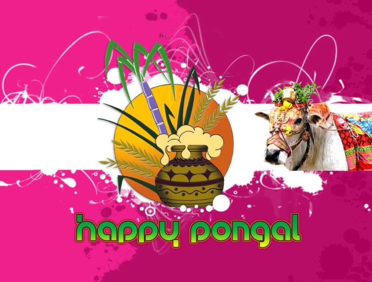 Pongal Wallpapers