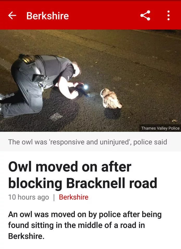 26 Shocking Photos Depict Hilarious Differences Between Britain And Australia 26 Shocking Photos Depict Hilarious Differences Between Britain And Australia
