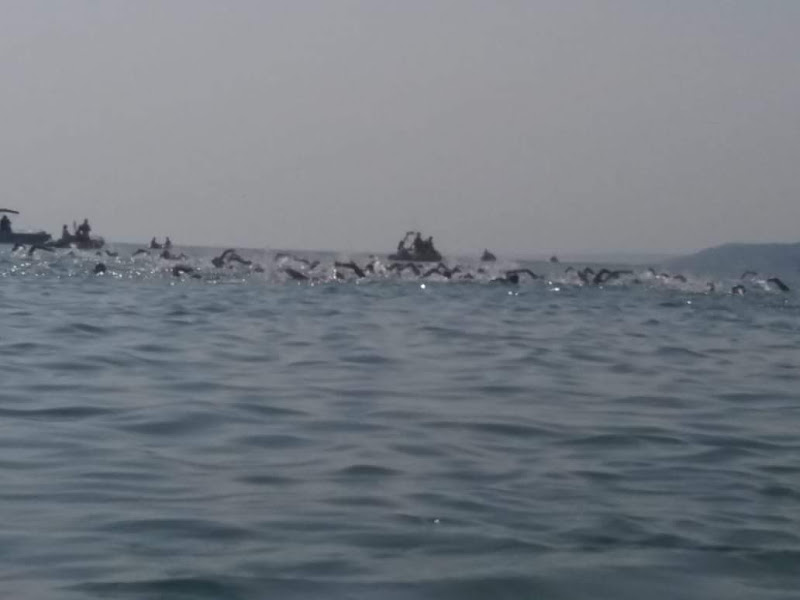 Larga partecipazione di atleti alla Nuotata Ecologica.VIDEO