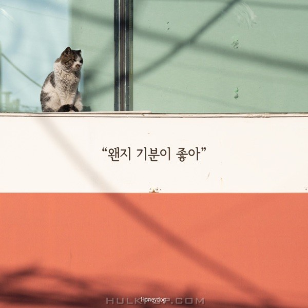 Honeydog – Somehow I feel good – Single